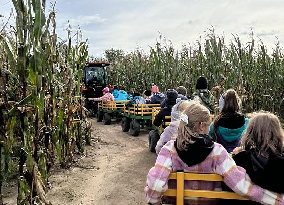 Grafika 28: Piesza wycieczka klas czwartych do Farmy Alexa