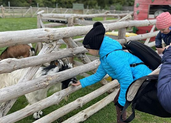 Grafika 34: Piesza wycieczka klas czwartych do Farmy Alexa