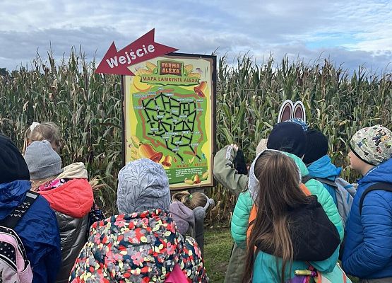 Grafika 39: Piesza wycieczka klas czwartych do Farmy Alexa