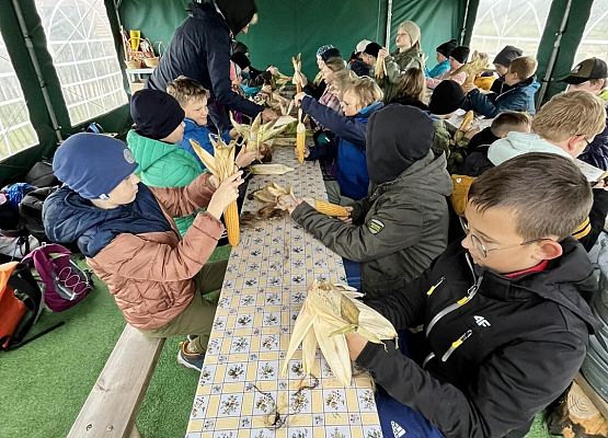 Grafika 43: Piesza wycieczka klas czwartych do Farmy Alexa