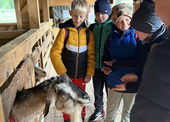 Grafika 44: Piesza wycieczka klas czwartych do Farmy Alexa