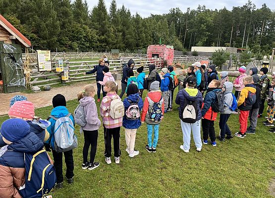 Grafika 52: Piesza wycieczka klas czwartych do Farmy Alexa