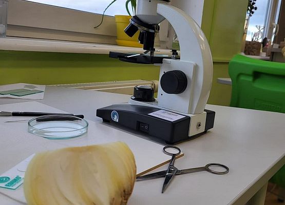 Grafika 4: Warsztaty dla uczniów Szkół Podstawowych w Szczenurzy, Maszewku i Wicku „Ekoenergetyczni - Odnawialne Źródła Energii” w ramach Festiwalu Energii