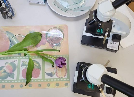 Grafika 10: Warsztaty dla uczniów Szkół Podstawowych w Szczenurzy, Maszewku i Wicku „Ekoenergetyczni - Odnawialne Źródła Energii” w ramach Festiwalu Energii