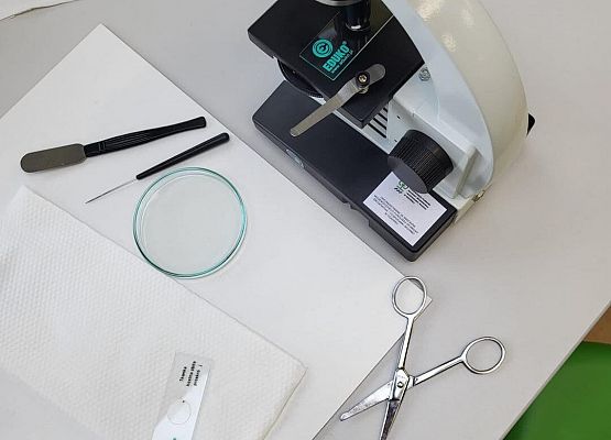 Grafika 28: Warsztaty dla uczniów Szkół Podstawowych w Szczenurzy, Maszewku i Wicku „Ekoenergetyczni - Odnawialne Źródła Energii” w ramach Festiwalu Energii