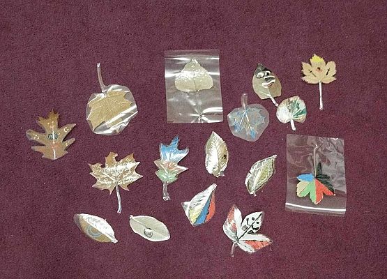 Grafika 14: "Skąd wiadomo, że jesień rozsiadła się w lesie? Cykle i zmiany w przyrodzie" - warsztaty przyrodnicze z czwartoklasistami