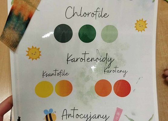 Grafika 17: "Skąd wiadomo, że jesień rozsiadła się w lesie? Cykle i zmiany w przyrodzie" - warsztaty przyrodnicze z czwartoklasistami