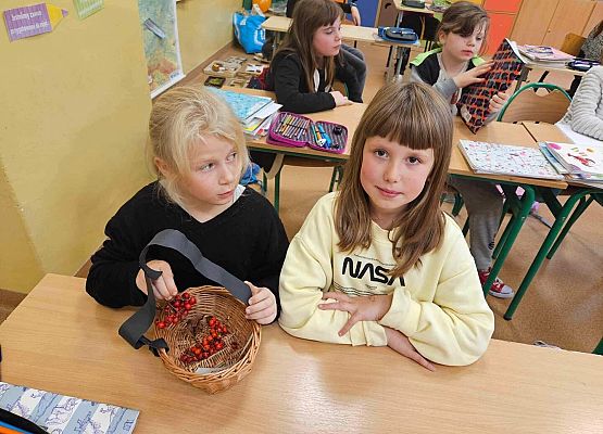 Grafika 11: Zajęcia przyrodnicze w klasach trzecich z edukatorami SPN