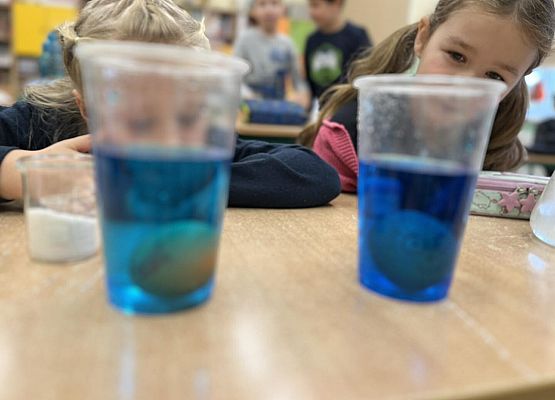 Grafika 14: Zajęcia przyrodnicze w klasach trzecich z edukatorami SPN