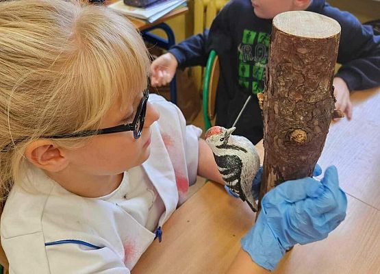 Grafika 21: Zajęcia przyrodnicze w klasach trzecich z edukatorami SPN