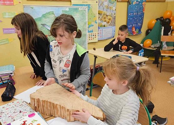 Grafika 22: Zajęcia przyrodnicze w klasach trzecich z edukatorami SPN