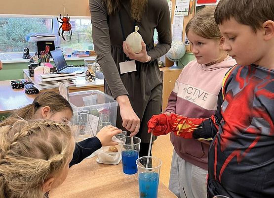 Grafika 28: Zajęcia przyrodnicze w klasach trzecich z edukatorami SPN