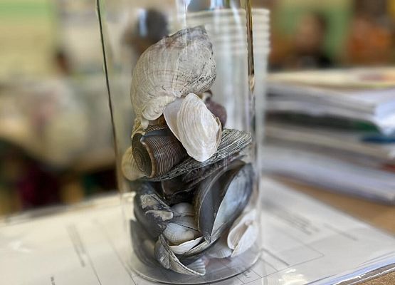 Grafika 32: Zajęcia przyrodnicze w klasach trzecich z edukatorami SPN