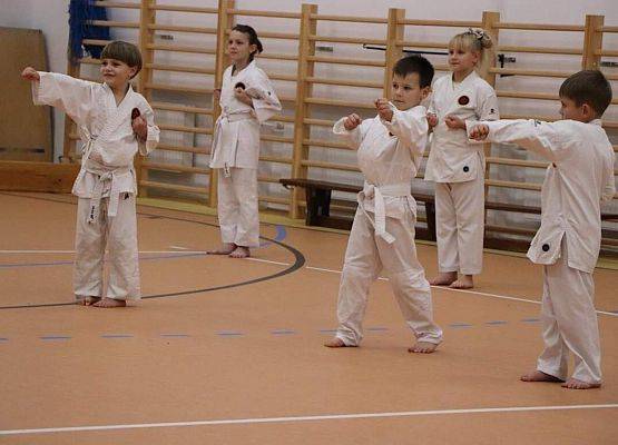 Grafika 6: Obchody Światowego Dnia Karate w sali gimnastycznej SP Wicko