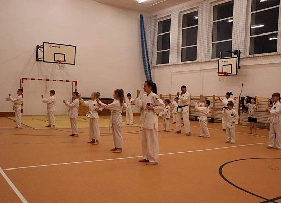 Grafika 8: Obchody Światowego Dnia Karate w sali gimnastycznej SP Wicko