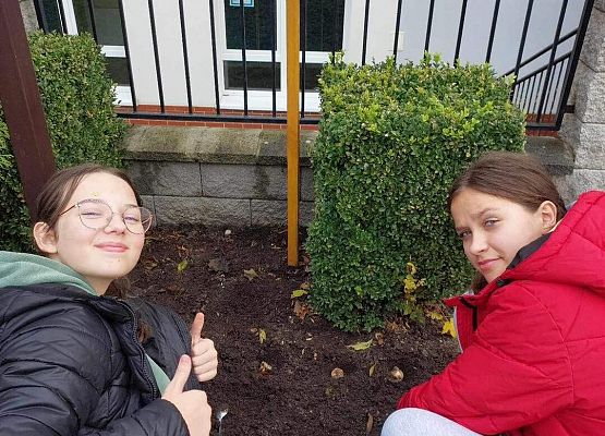 Grafika 1: Nasza szkoła bierze udział w Akcji Pola Nadziei 2023/2024 na rzecz Fundacji Lęborskiego Hospicjum Stacjonarnego