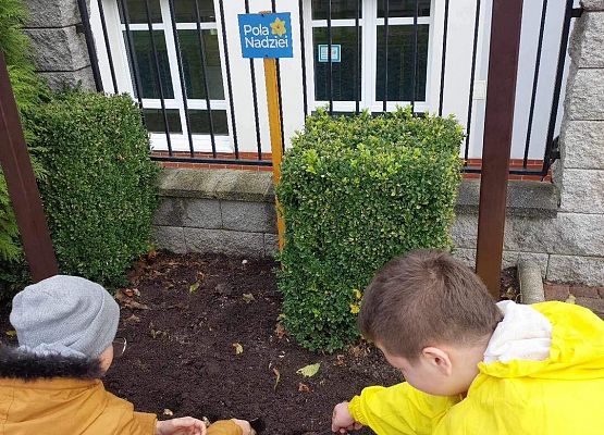 Grafika 2: Nasza szkoła bierze udział w Akcji Pola Nadziei 2023/2024 na rzecz Fundacji Lęborskiego Hospicjum Stacjonarnego