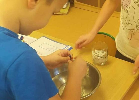 Grafika 2: "Czytelnicza środa" i  "Eksperymenty na cztery pory roku"  - dwa projekty realizowane przez klasę IIA