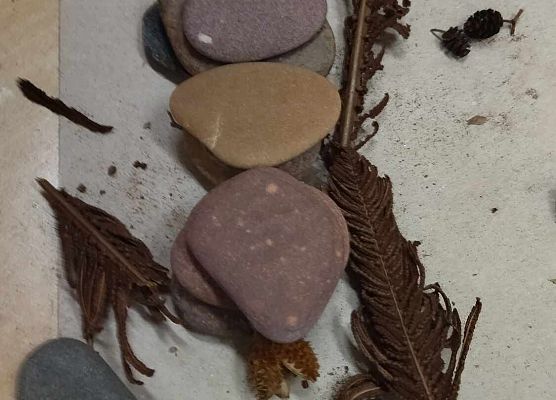 Grafika 18: Ekologiczne i przyrodnicze obchody Dnia Pluszowego Misia w Bibliotece Szkolnej w Wicku