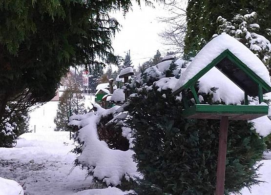 Grafika 6: Nasi uczniowie odwiedzili Ptasie Miasteczko przed szkołą