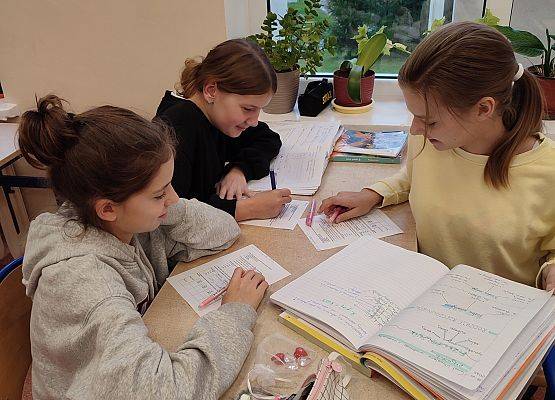 Grafika 17: „…A to polski właśnie!”