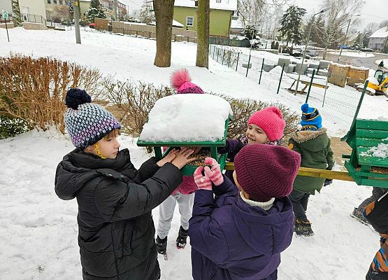 Grafika 4: Uczniowie klasy IIIA odwiedzili szkolne ptasie miasteczko