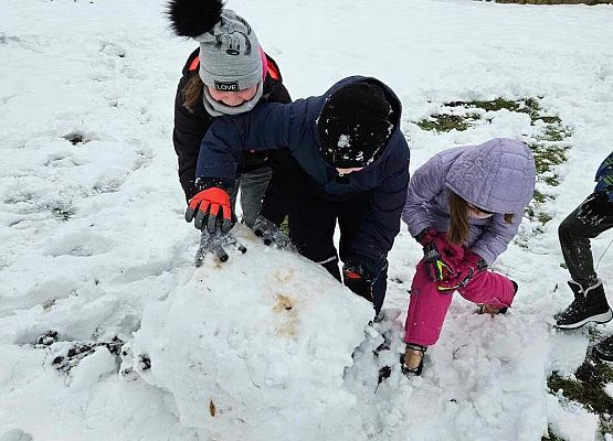 Grafika 20: Uczniowie klasy IIIA odwiedzili szkolne ptasie miasteczko