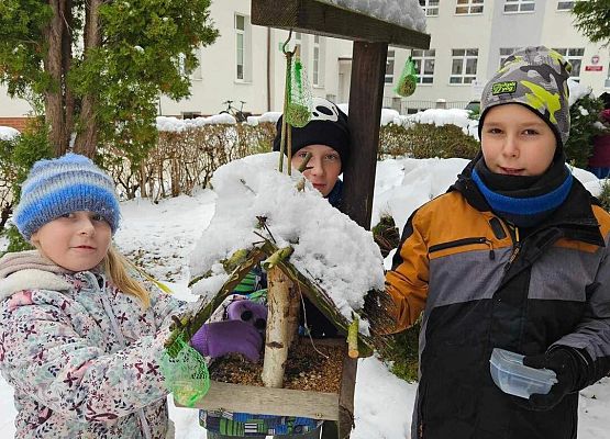 Grafika 21: Uczniowie klasy IIIA odwiedzili szkolne ptasie miasteczko