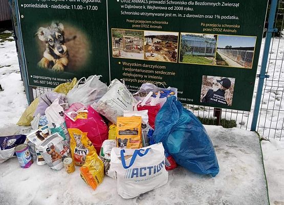 Grafika 2: Dary od nasze szkolnej społeczności pojechały do schroniska dla bezdomnych zwierząt OTOZ Animals w Dąbrówce koło Wejherowa