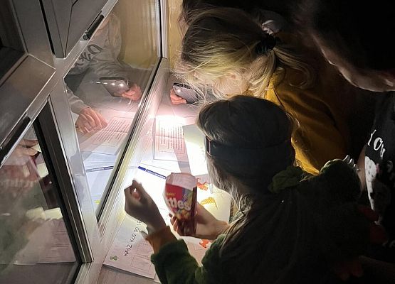 Grafika 12: Zimowa nocka w szkole z klasą IVB