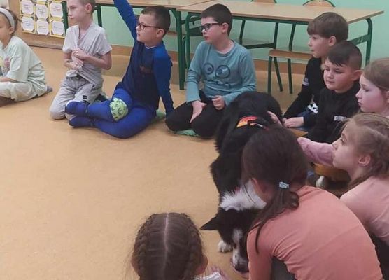 Grafika 1: Warsztaty edukacyjne dla klas I-III z psem Chilli na temat prawidłowego postępowania z czworonogami