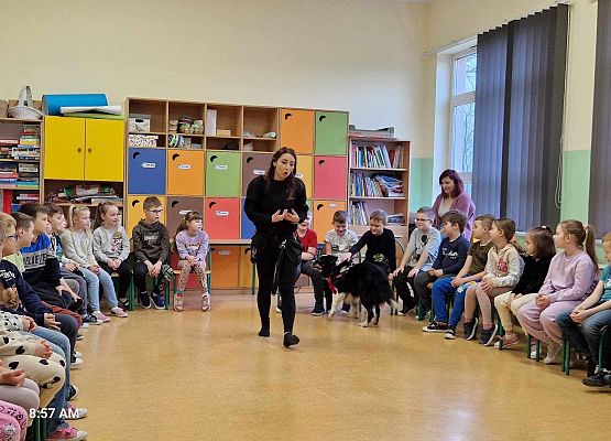 Grafika 2: Warsztaty edukacyjne dla klas I-III z psem Chilli na temat prawidłowego postępowania z czworonogami