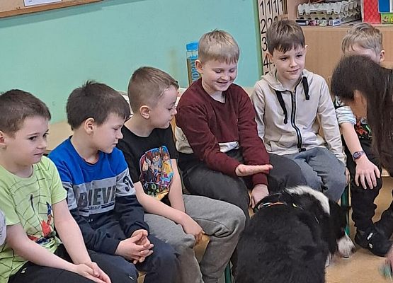 Grafika 3: Warsztaty edukacyjne dla klas I-III z psem Chilli na temat prawidłowego postępowania z czworonogami