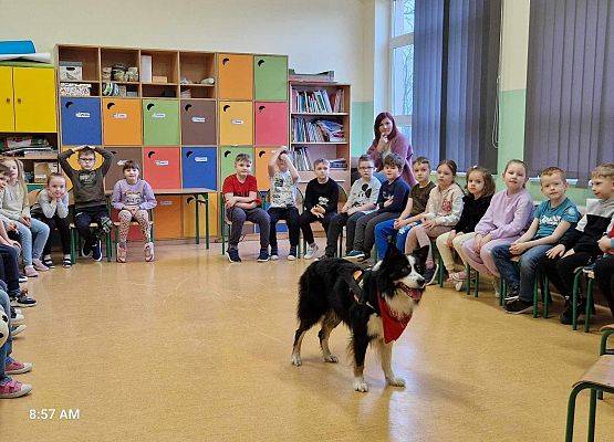 Grafika 4: Warsztaty edukacyjne dla klas I-III z psem Chilli na temat prawidłowego postępowania z czworonogami