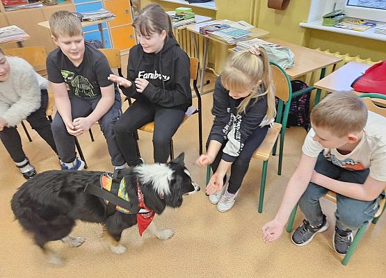 Grafika 19: Warsztaty edukacyjne dla klas I-III z psem Chilli na temat prawidłowego postępowania z czworonogami
