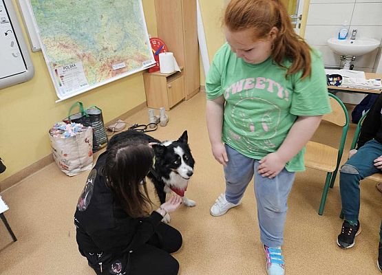 Grafika 6: Warsztaty edukacyjne dla klas I-III z psem Chilli na temat prawidłowego postępowania z czworonogami