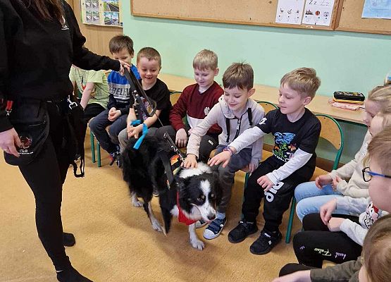 Grafika 7: Warsztaty edukacyjne dla klas I-III z psem Chilli na temat prawidłowego postępowania z czworonogami