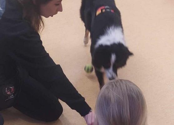 Grafika 8: Warsztaty edukacyjne dla klas I-III z psem Chilli na temat prawidłowego postępowania z czworonogami