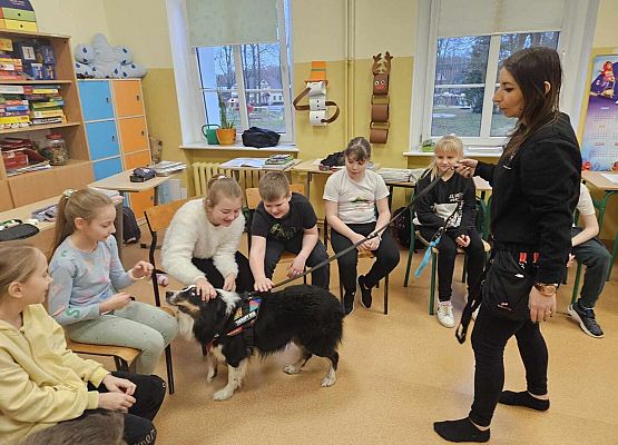 Grafika 9: Warsztaty edukacyjne dla klas I-III z psem Chilli na temat prawidłowego postępowania z czworonogami