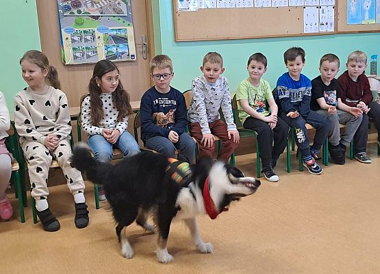 Grafika 11: Warsztaty edukacyjne dla klas I-III z psem Chilli na temat prawidłowego postępowania z czworonogami