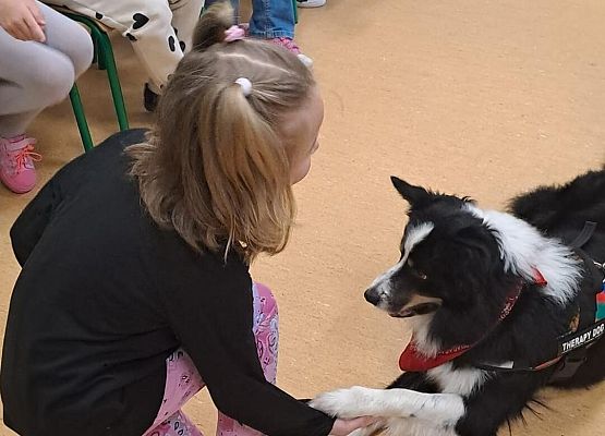 Grafika 12: Warsztaty edukacyjne dla klas I-III z psem Chilli na temat prawidłowego postępowania z czworonogami