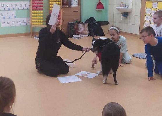 Grafika 13: Warsztaty edukacyjne dla klas I-III z psem Chilli na temat prawidłowego postępowania z czworonogami