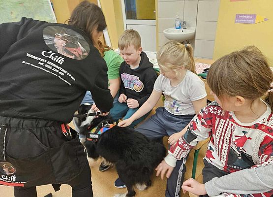 Grafika 14: Warsztaty edukacyjne dla klas I-III z psem Chilli na temat prawidłowego postępowania z czworonogami