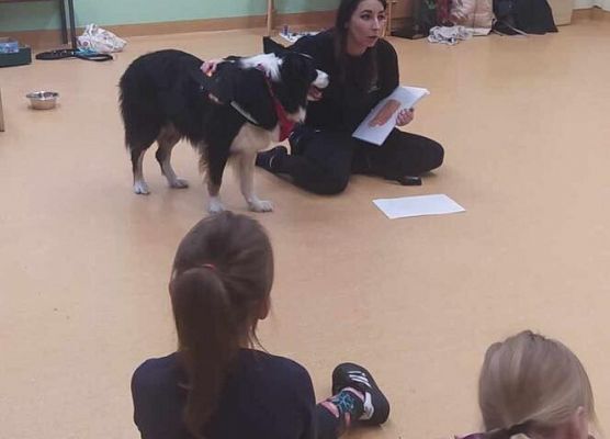 Grafika 17: Warsztaty edukacyjne dla klas I-III z psem Chilli na temat prawidłowego postępowania z czworonogami