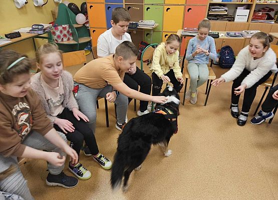 Grafika 21: Warsztaty edukacyjne dla klas I-III z psem Chilli na temat prawidłowego postępowania z czworonogami
