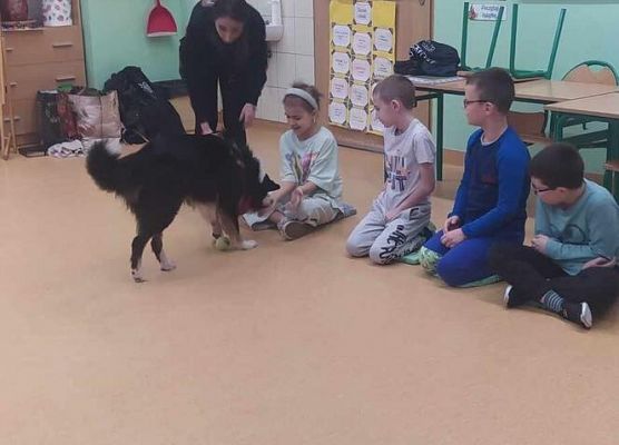 Grafika 22: Warsztaty edukacyjne dla klas I-III z psem Chilli na temat prawidłowego postępowania z czworonogami