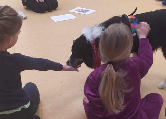 Grafika 23: Warsztaty edukacyjne dla klas I-III z psem Chilli na temat prawidłowego postępowania z czworonogami