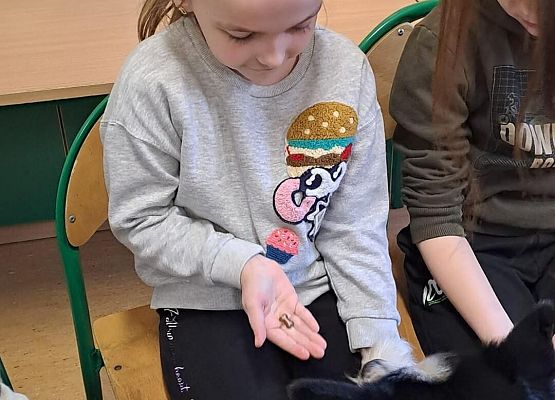 Grafika 25: Warsztaty edukacyjne dla klas I-III z psem Chilli na temat prawidłowego postępowania z czworonogami
