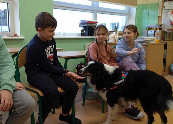 Grafika 26: Warsztaty edukacyjne dla klas I-III z psem Chilli na temat prawidłowego postępowania z czworonogami