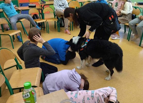 Grafika 29: Warsztaty edukacyjne dla klas I-III z psem Chilli na temat prawidłowego postępowania z czworonogami